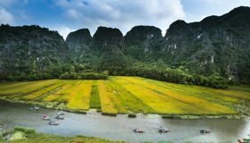 Begin your visa-prepared day with Vietnam’s tranquil ambiance